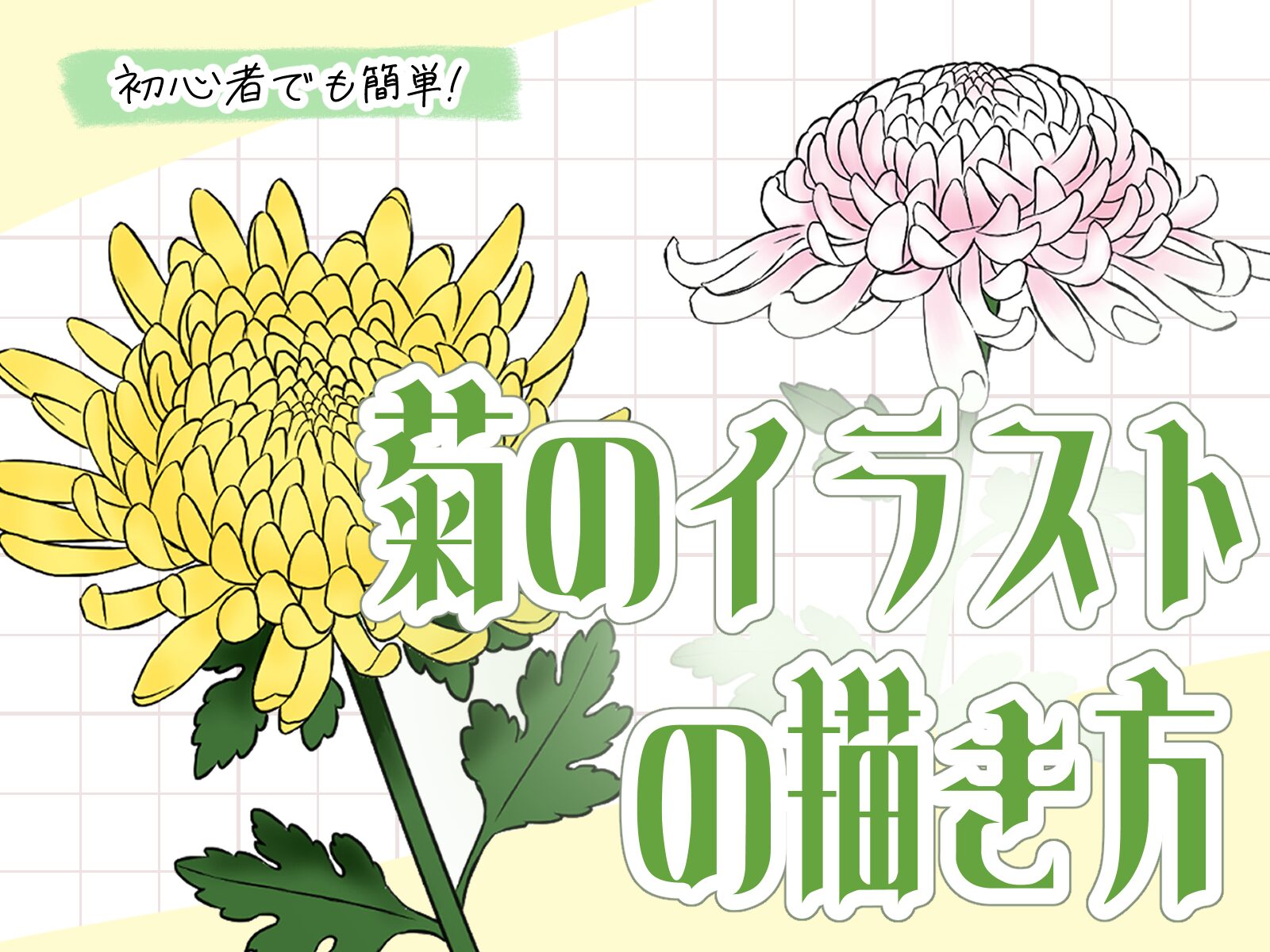 初心者も簡単！菊のイラストの描き方 - オンラインイラスト教室アタム